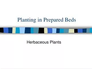 Planting in Prepared Beds