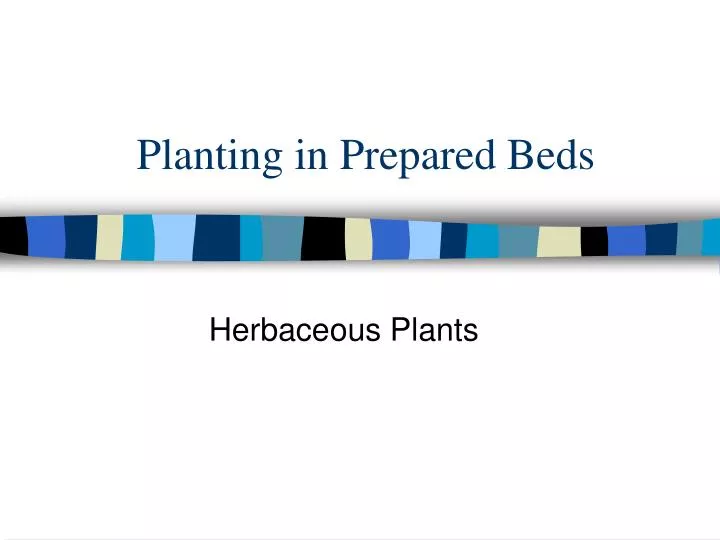 planting in prepared beds