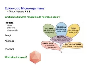 Eukaryotic Microorganisms 	-- Text Chapters 7 &amp; 8 In which Eukaryotic Kingdoms do microbes occur? Protista 	algae 	p