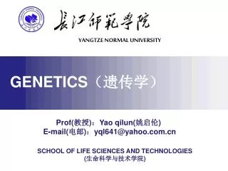 Prof( ?? ) ? Yao qilun( ??? ) E - mail( ?? ) ? yql641@yahoo.com.cn
