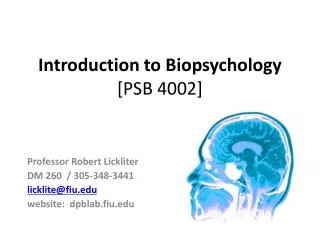 Introduction to Biopsychology [PSB 4002]