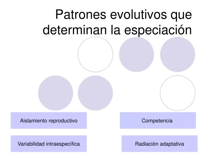 patrones evolutivos que determinan la especiaci n