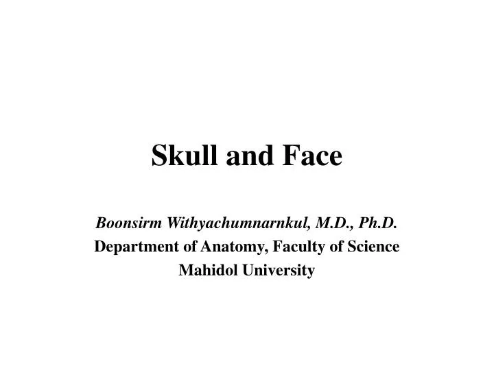 skull and face
