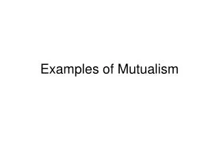 Examples of Mutualism