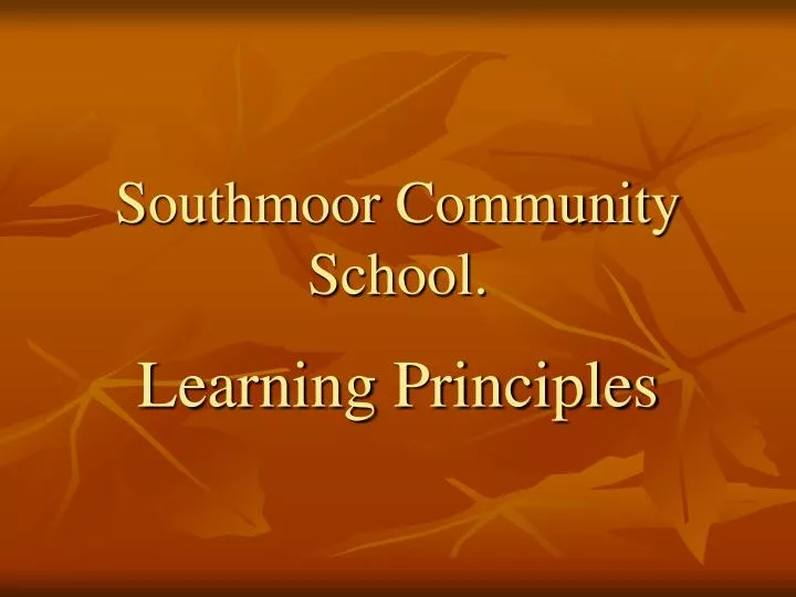 southmoor community school