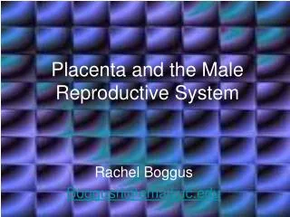 Placenta and the Male Reproductive System