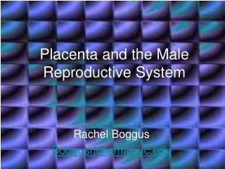 placenta and the male reproductive system