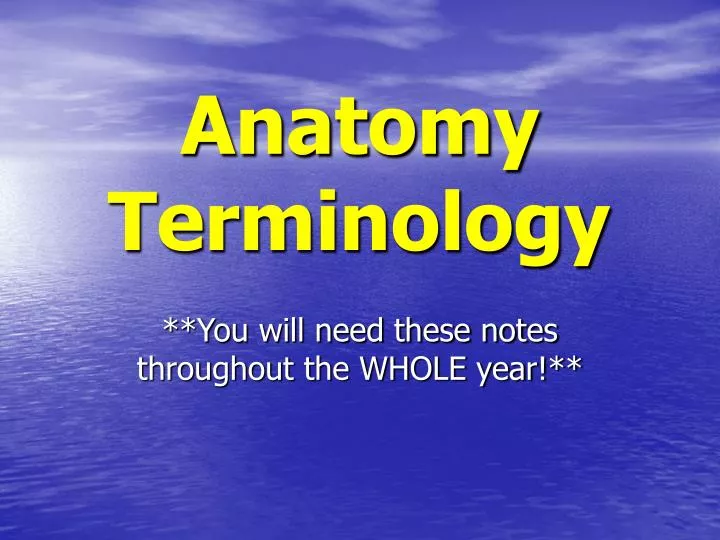 anatomy terminology