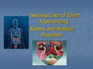 Nursing Care of Client 	Experiencing Kidney and Bladder 			 Disorders