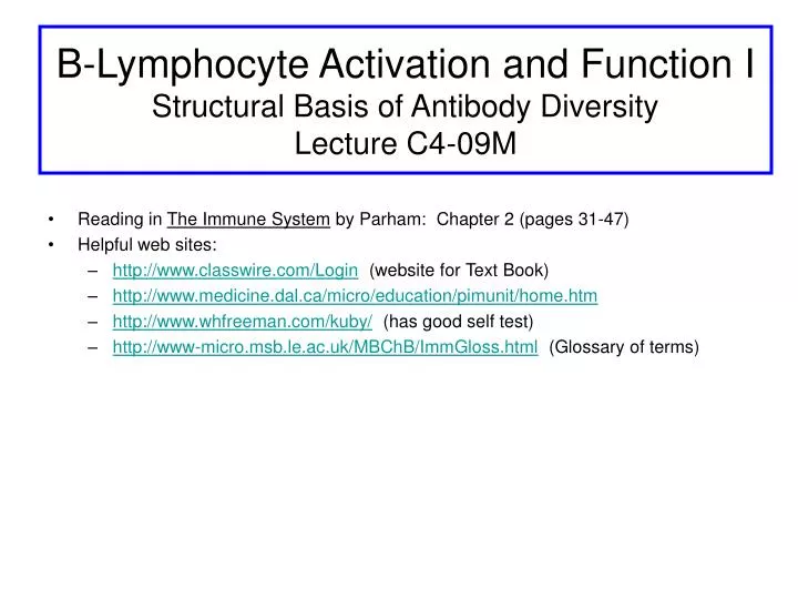 b lymphocyte activation and function i structural basis of antibody diversity lecture c4 09m