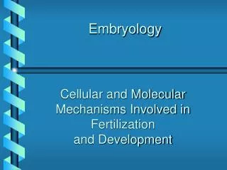 Embryology