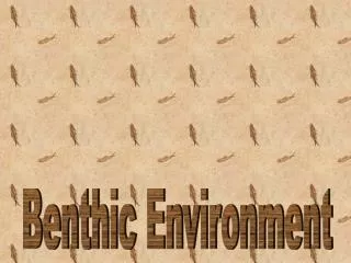 Benthic Environment