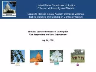 United States Department of Justice Office on Violence Against Women Grants to Reduce Sexual Assault, Domestic Violence