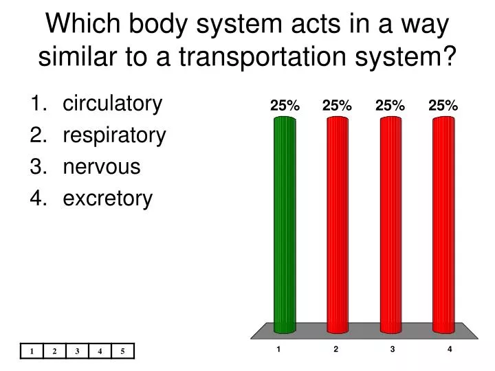 which body system acts in a way similar to a transportation system