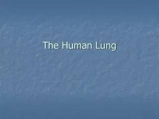 The Human Lung