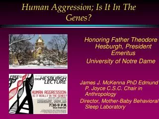 Human Aggression; Is It In The Genes?