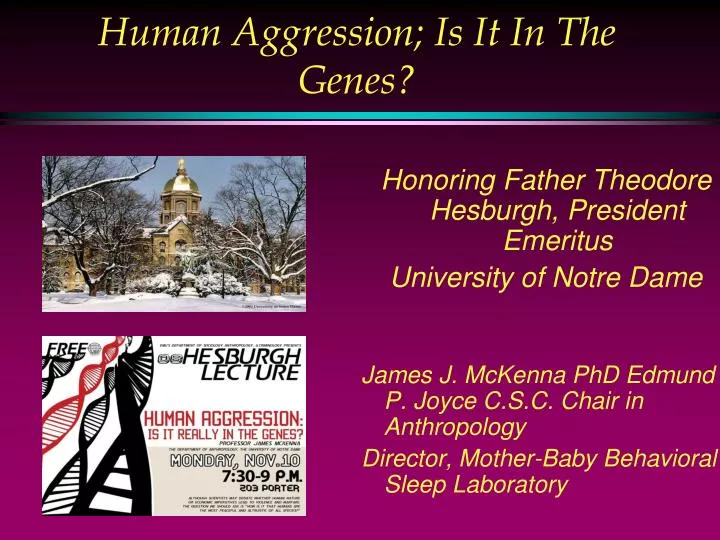human aggression is it in the genes