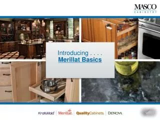 Introducing . . . . Merillat Basics