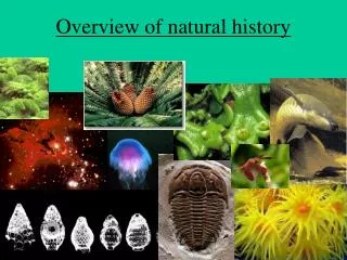 Overview of natural history