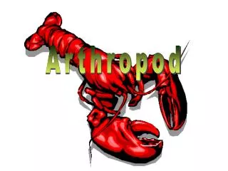 Arthropod