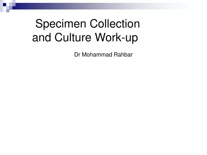 specimen collection and culture work up