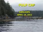 PULP CAP - slide 1