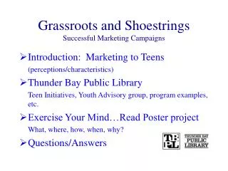 Grassroots and Shoestrings Successful Marketing Campaigns
