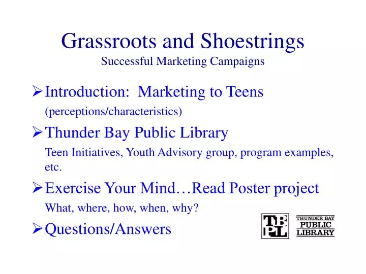 grassroots and shoestrings successful marketing campaigns