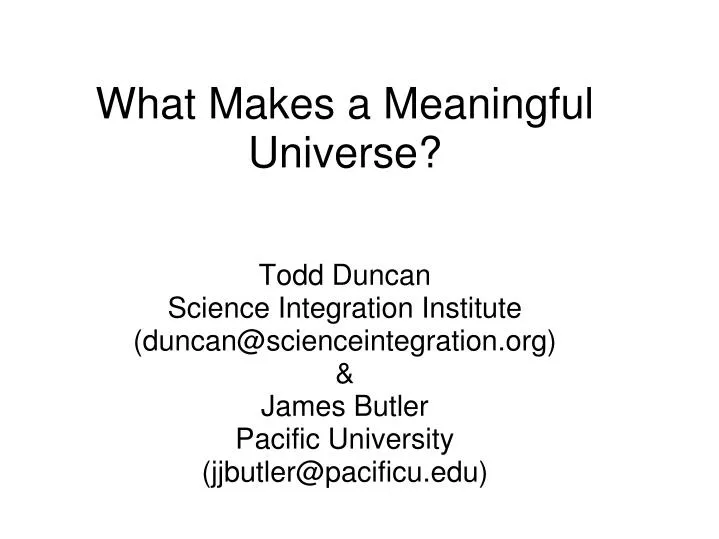 what makes a meaningful universe