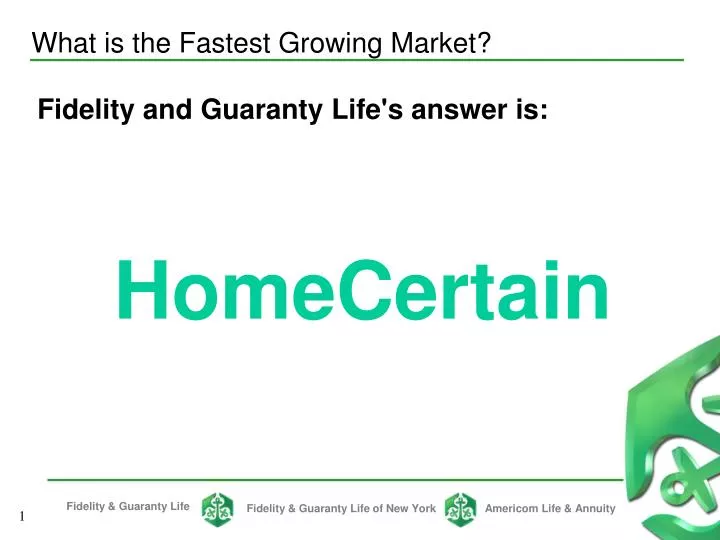 what is the fastest growing market