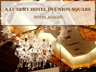 A LUXURY HOTEL IN UNION SQUARE