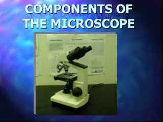 COMPONENTS OF THE MICROSCOPE