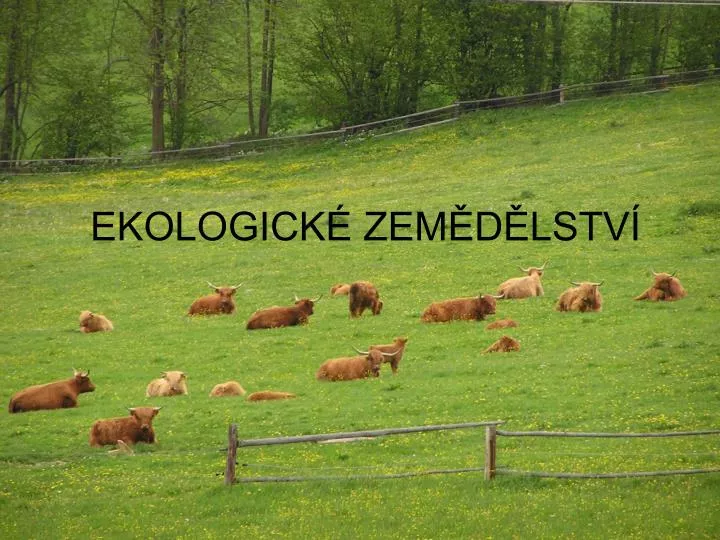 ekologick zem d lstv