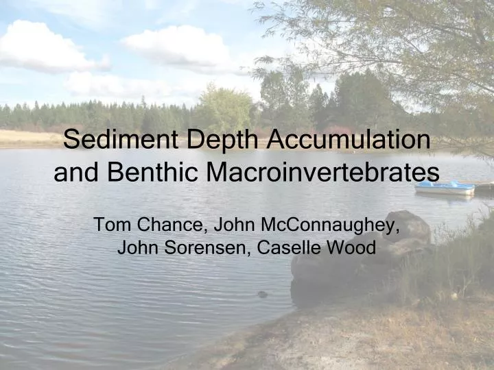 sediment depth accumulation and benthic macroinvertebrates