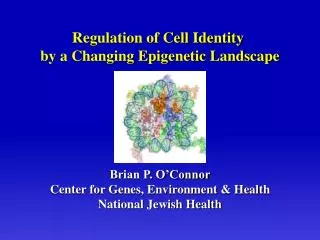 Brian P. O’Connor Center for Genes, Environment &amp; Health National Jewish Health