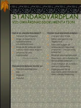 standardv rdplan vid omv rdnadsdokumentation