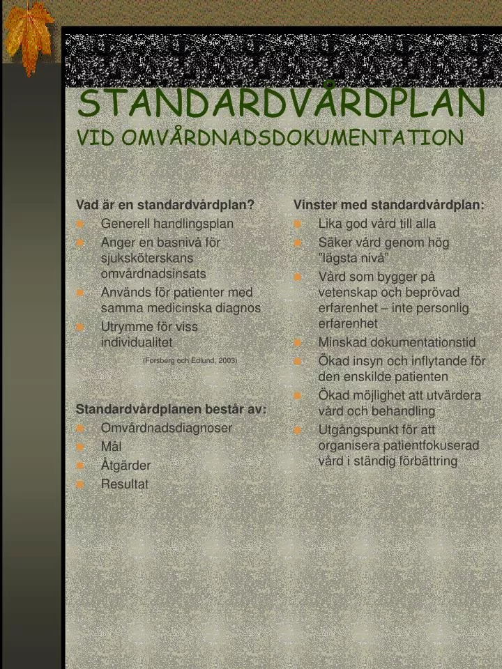 standardv rdplan vid omv rdnadsdokumentation