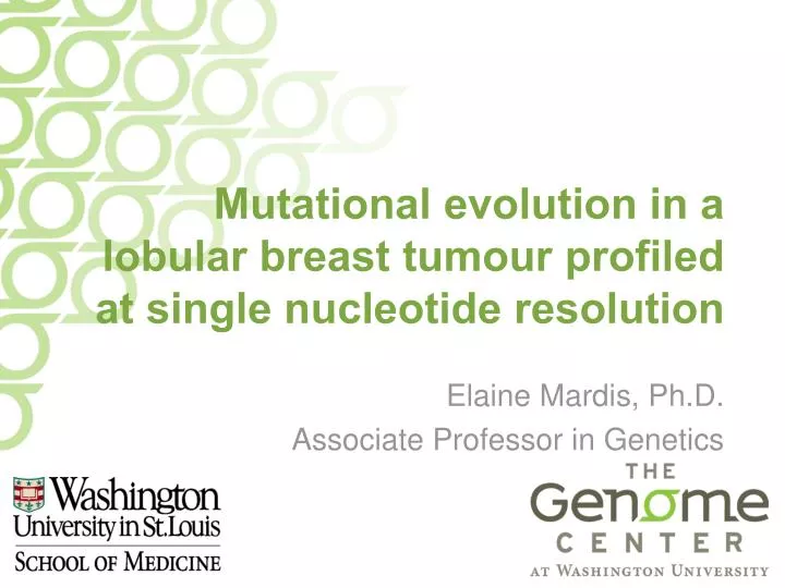 mutational evolution in a lobular breast tumour profiled at single nucleotide resolution