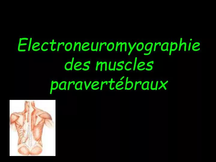 electroneuromyographie des muscles paravert braux