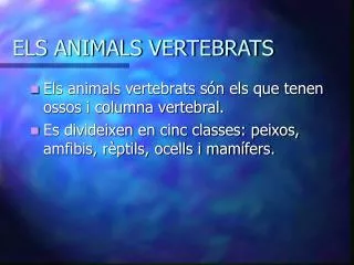els animals vertebrats