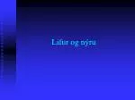 Lifur og nýru - slide 1
