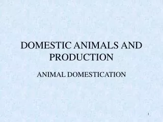 DOMESTIC ANIMALS AND PRODUCTION