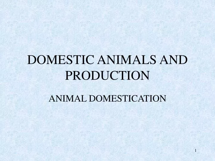 domestic animals and production