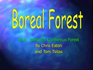 AKA: Northern Coniferous Forest By Chris Eaton and Tom Tsitas