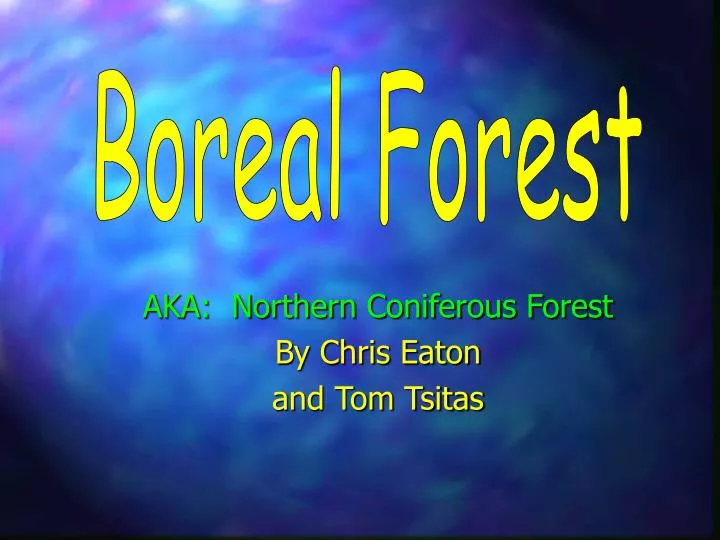 aka northern coniferous forest by chris eaton and tom tsitas