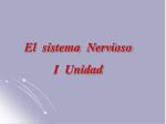 El sistema Nervioso I Unidad - slide 1