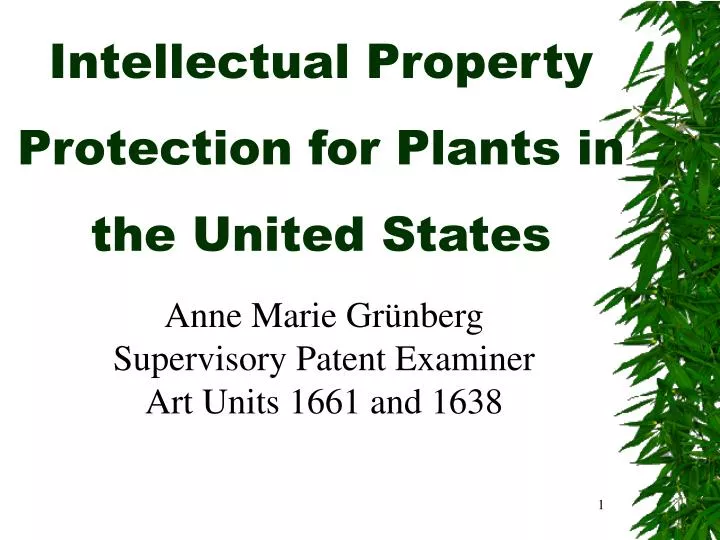 intellectual property protection for plants in the united states