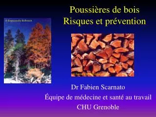 poussi res de bois risques et pr vention