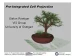 Pre-Integrated Cell Projection - slide 1