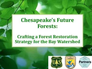 Chesapeake's Future Forests: Crafting a Forest Restoration Strategy for the Bay Watershed